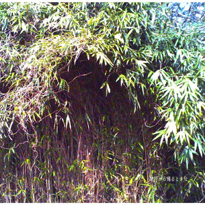 旅行から帰るときは