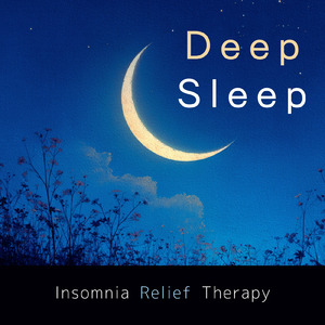 超熟睡アンビエント 自然な眠りを促す優しい音色 (睡眠と集中のためのバイノーラルビート)