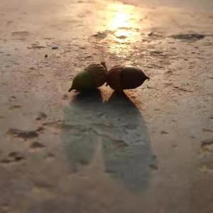 我在你眼中看到了我眼中的你