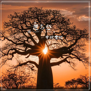 可你听见了（越南语）