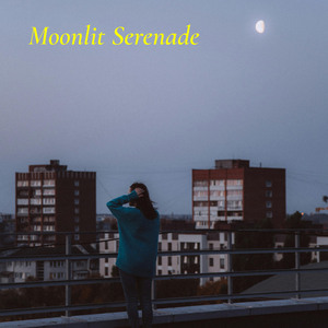 Moonlit Serenade