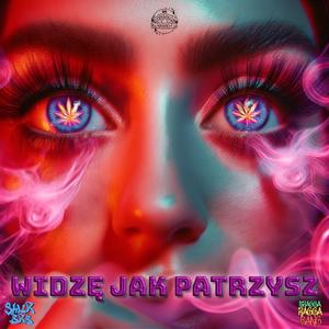 WIDZĘ JAK PATRZYSZ RMX