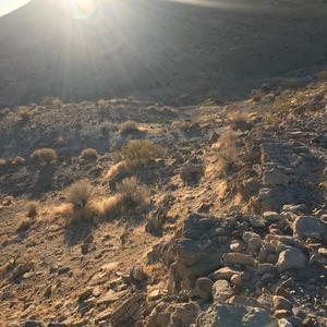 p.l.u.t.i.s (Instrumental)