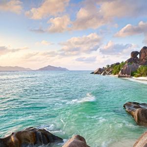 A Tale of the Bluebird