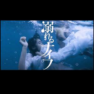 コウを追いかけて