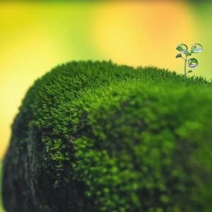 我们拥有同一个影子 伴奏