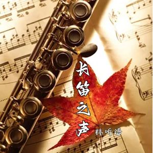 看我跃马扬鞭＆长笛版（林听语 remix）