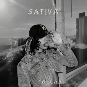 Sativa