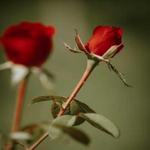 I'm Wit You (feat. Swappacoochi)