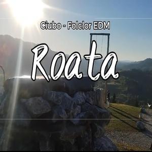 Roata (HORA)