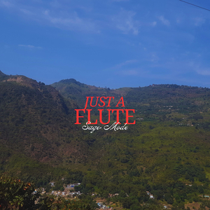 Just a Flute