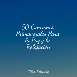 Esquinas De La Galaxia