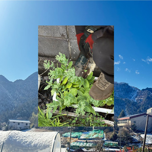 そじぼう (意味)