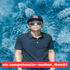 Sin Competencia