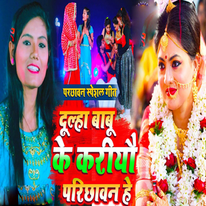 Dulha Babu Ke Kariyo Parichawan He