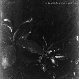 'i've fallen & i can't get up...'