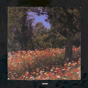 Мультики (RELIQUI Remix)