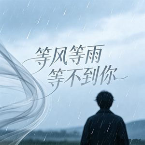 等风等雨等不到你