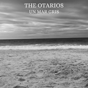 Un Mar Gris