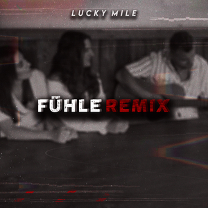 Fühle (Remix)