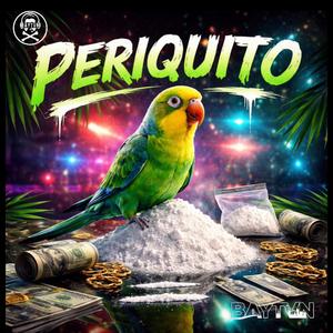 PERIQUITO (BAYTVN FLIP)