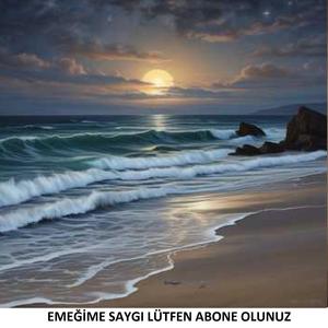 SESSİZ GEMİ (ABDULLAH BEYAZTAŞ'ın ŞİİRİNDEN ESİNLENİLMİŞTİR)