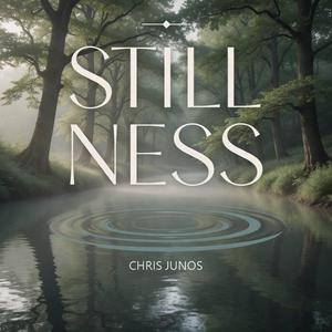 Stillness