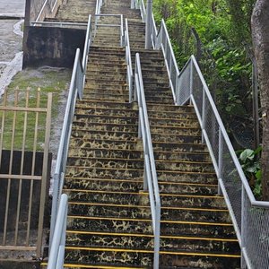 用背脊唱情歌20250925.mp3