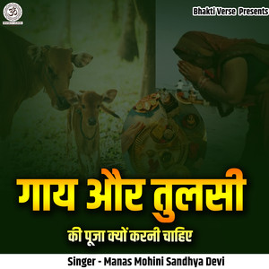Gaay Aur Tulasi Ki Pooja Kyon Karni Chahiye