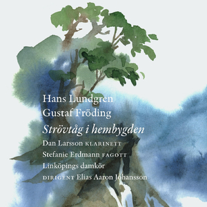 Strövtåg i hembygden: I. Det är skimmer i molnen