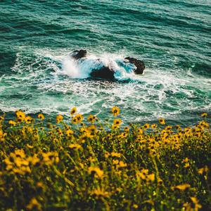 太阳_Cover陈绮贞（翻自 陈绮贞）