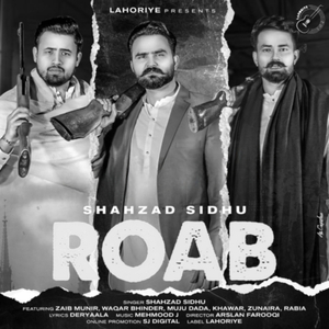 Roab (Slowed & Reverbed)