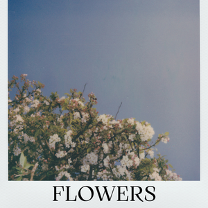 花之舞（钢琴版）