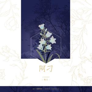 阿刁（张韶涵改编版）