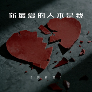 你爱的人不是我