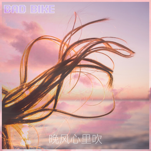 晚风心里吹（烂单车 remix）（烂单车Bootleg）