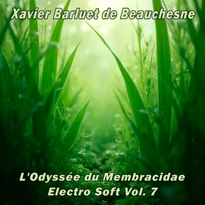 L’Empire des Brindilles