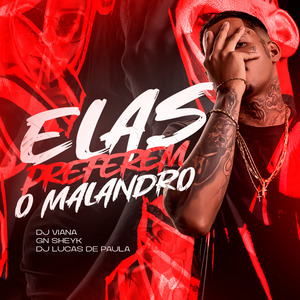 Mtg - Elas Prefere os Malandro