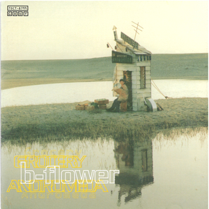 サトウカエデの下で