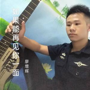 如果能再见你一面
