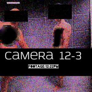 The 60 year old noise musician