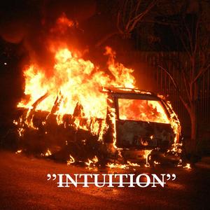 Intuition