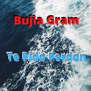 Te Pido Perdon