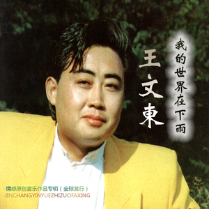 我的世界在下雨