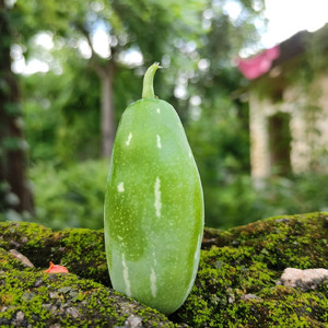 Refresh Life and chill