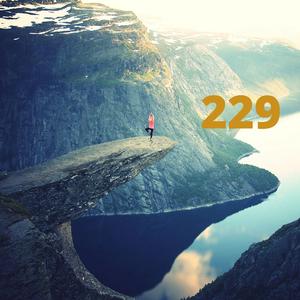 229