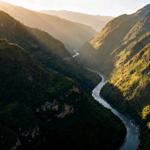 everytime l miss you