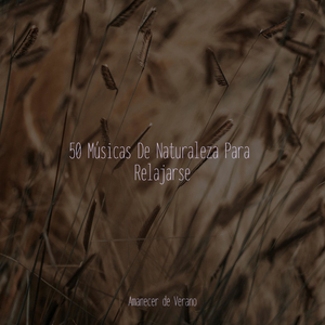 Sueño del Alma Inexplorada