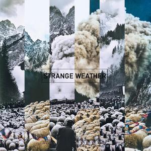 Strange Weather (feat. Martin Ohrwalder & Lukas Laimer)