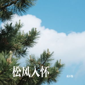 松风入怀